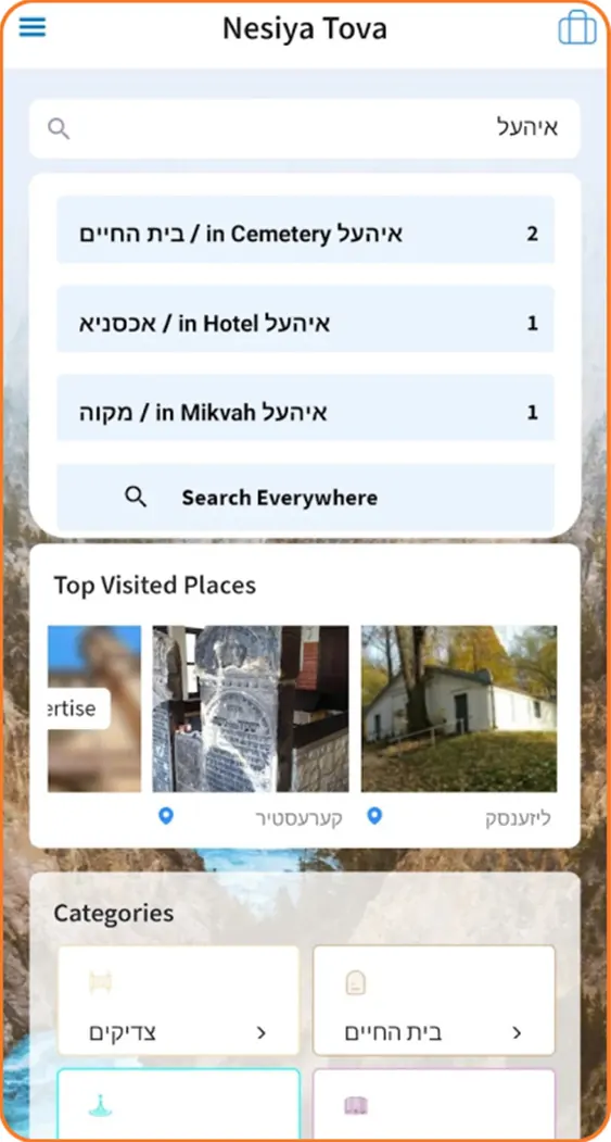 Searching for a town, with results grouped by place type